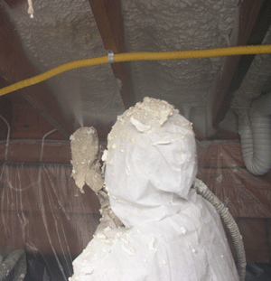Carson City NV crawl space insulation